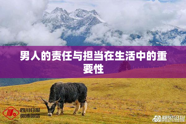 男人的责任与担当在生活中的重要性
