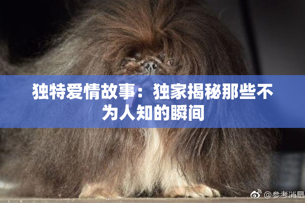 独特爱情故事：独家揭秘那些不为人知的瞬间