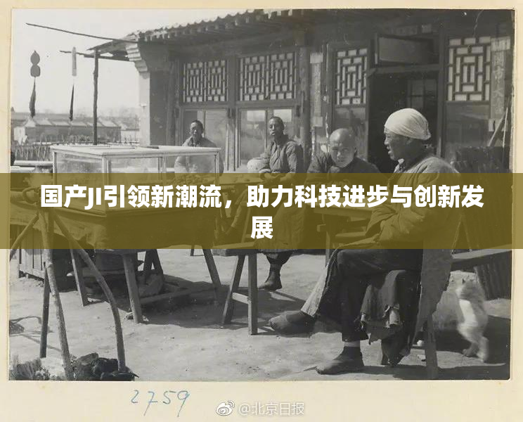 国产JI引领新潮流，助力科技进步与创新发展
