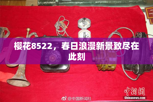 樱花8522，春日浪漫新景致尽在此刻