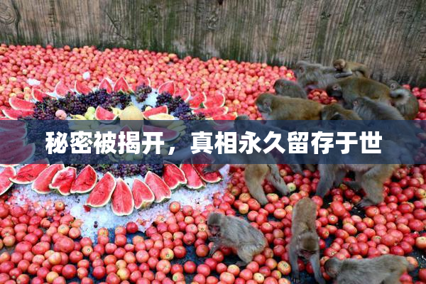 秘密被揭开，真相永久留存于世