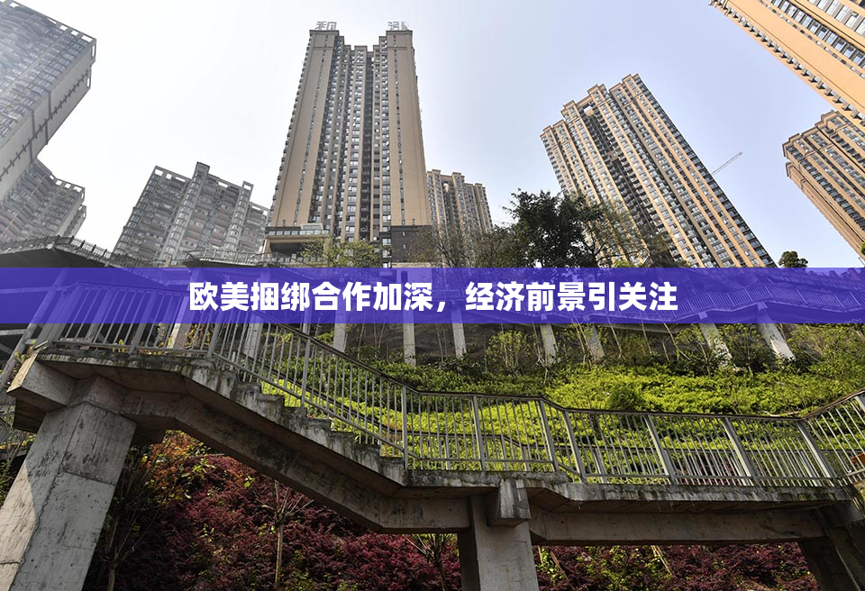 欧美捆绑合作加深，经济前景引关注
