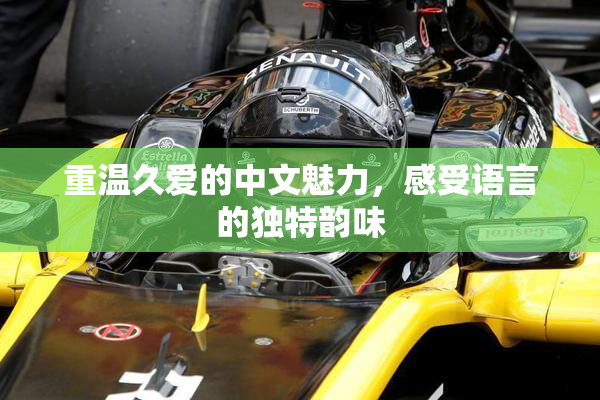 重温久爱的中文魅力，感受语言的独特韵味