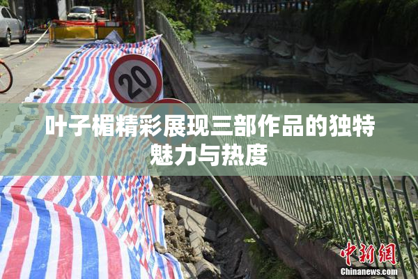叶子楣精彩展现三部作品的独特魅力与热度