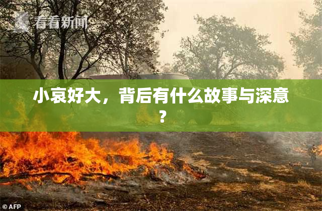 小哀好大，背后有什么故事与深意？