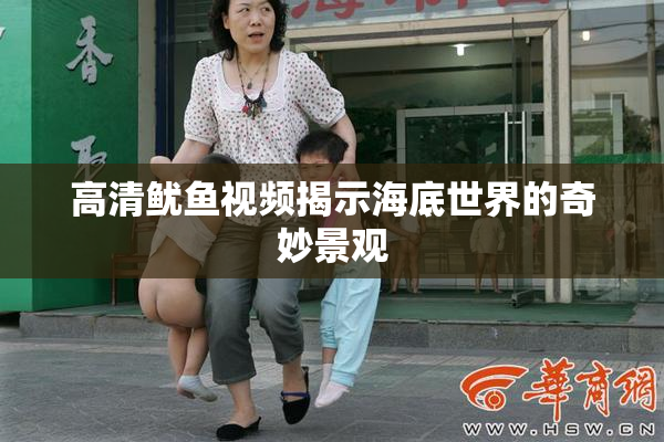 高清鱿鱼视频揭示海底世界的奇妙景观