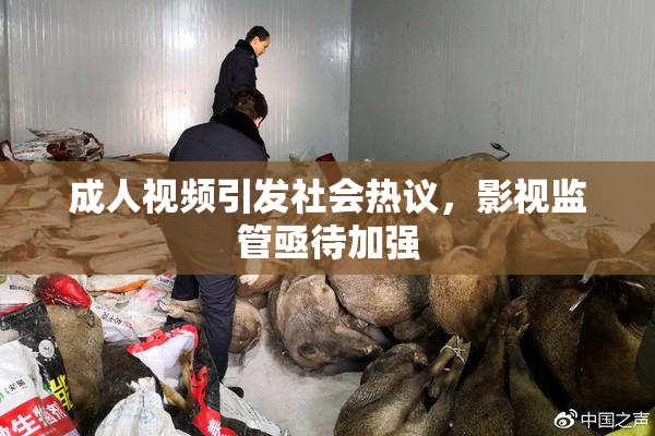 成人视频引发社会热议，影视监管亟待加强