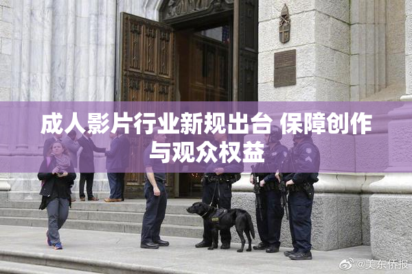 成人影片行业新规出台 保障创作与观众权益