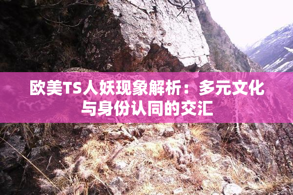 欧美TS人妖现象解析：多元文化与身份认同的交汇