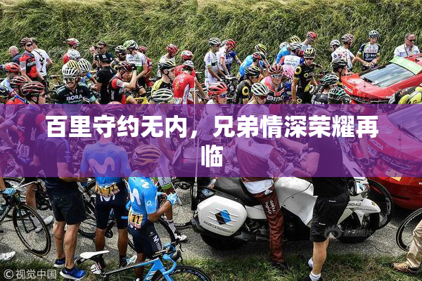百里守约无内，兄弟情深荣耀再临