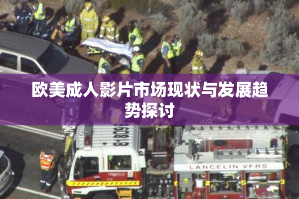 欧美成人影片市场现状与发展趋势探讨