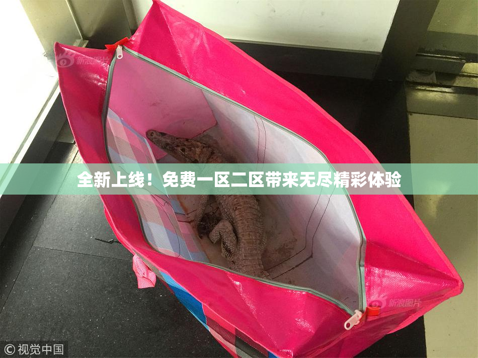 全新上线！免费一区二区带来无尽精彩体验