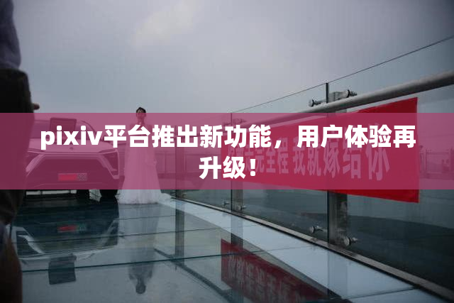 pixiv平台推出新功能，用户体验再升级！
