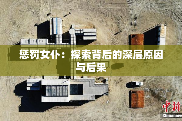 惩罚女仆：探索背后的深层原因与后果