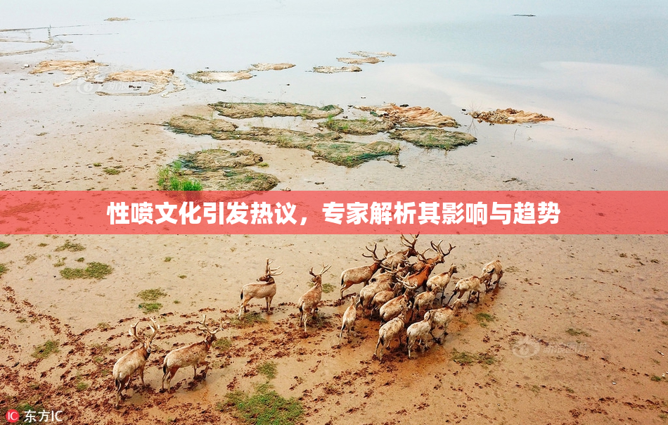 性喷文化引发热议，专家解析其影响与趋势