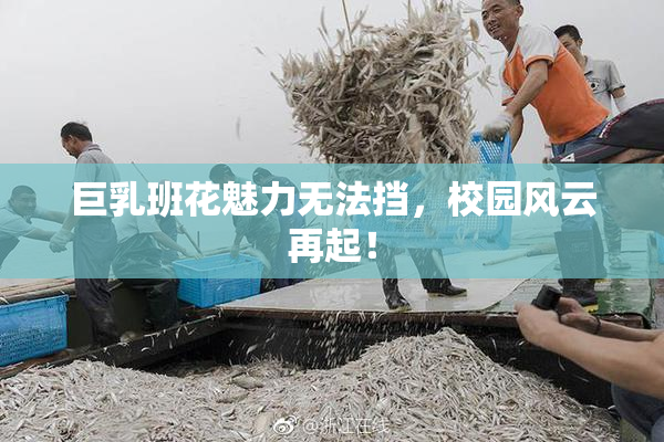 巨乳班花魅力无法挡，校园风云再起！