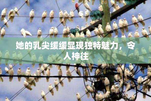 她的乳尖缓缓显现独特魅力，令人神往