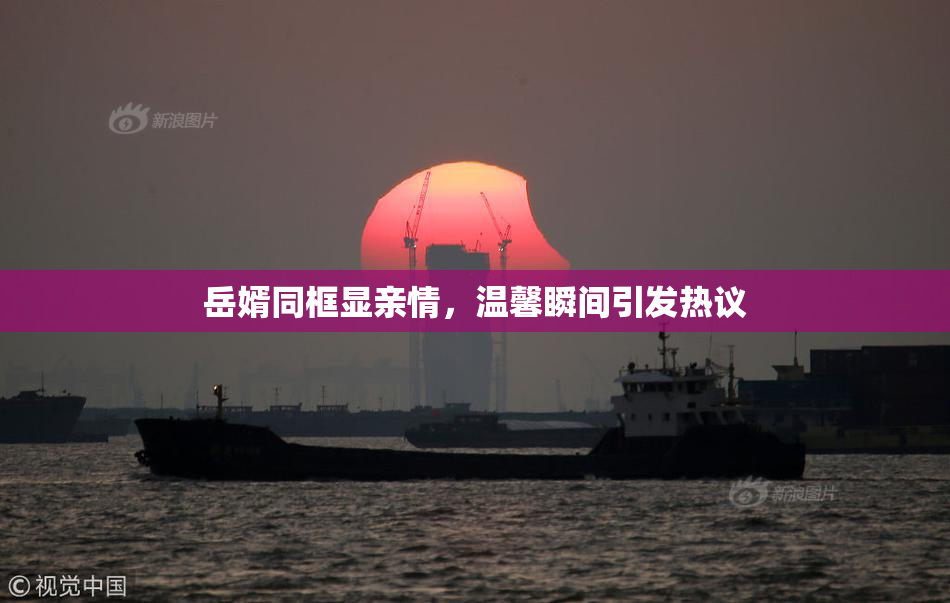 岳婿同框显亲情，温馨瞬间引发热议
