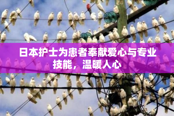 日本护士为患者奉献爱心与专业技能，温暖人心