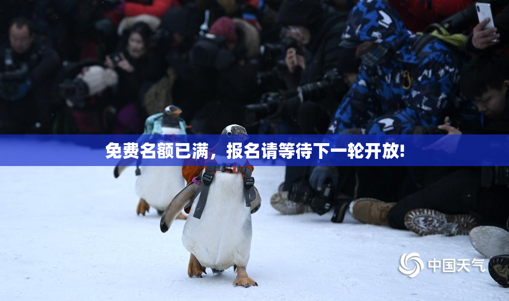 免费名额已满，报名请等待下一轮开放!