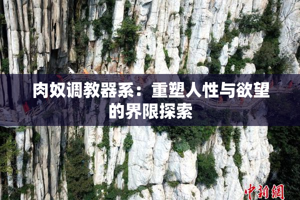 肉奴调教器系：重塑人性与欲望的界限探索