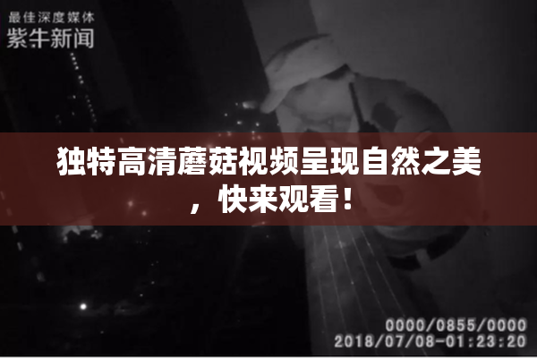 独特高清蘑菇视频呈现自然之美，快来观看！