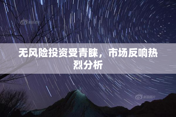无风险投资受青睐，市场反响热烈分析