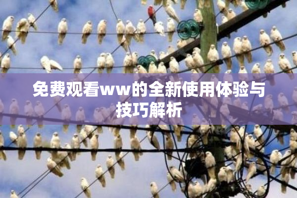 免费观看ww的全新使用体验与技巧解析