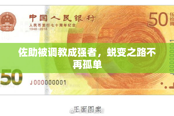 佐助被调教成强者，蜕变之路不再孤单