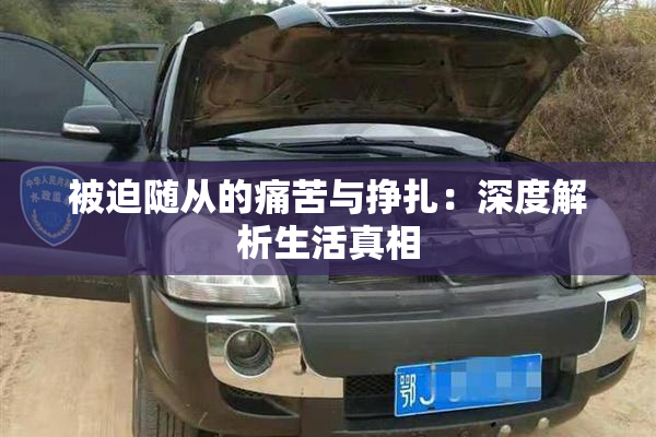 被迫随从的痛苦与挣扎：深度解析生活真相