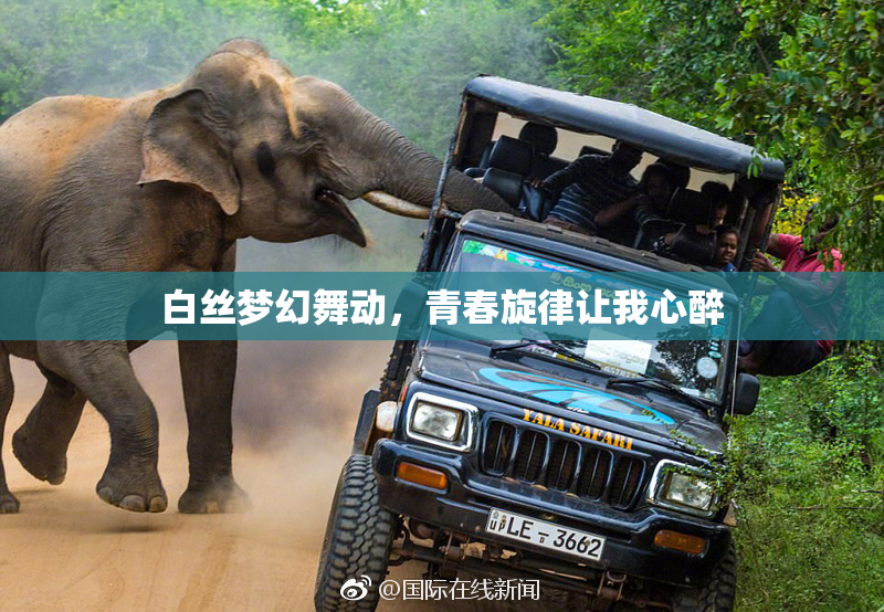 白丝梦幻舞动，青春旋律让我心醉