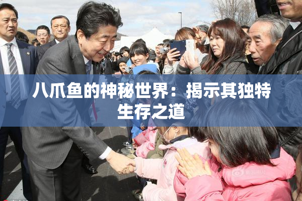 八爪鱼的神秘世界：揭示其独特生存之道