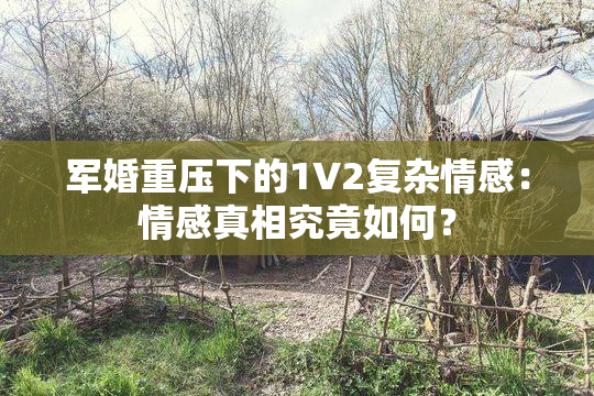 军婚重压下的1V2复杂情感：情感真相究竟如何？