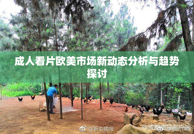 成人看片欧美市场新动态分析与趋势探讨