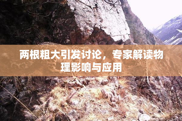两根粗大引发讨论，专家解读物理影响与应用