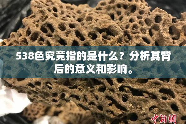 538色究竟指的是什么？分析其背后的意义和影响。