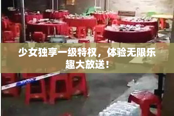 少女独享一级特权，体验无限乐趣大放送！