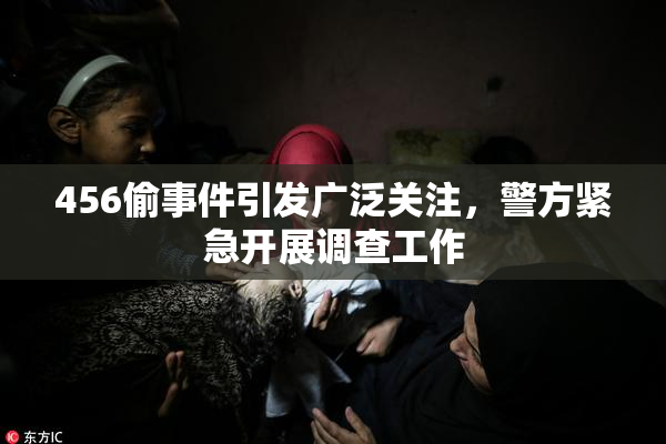 456偷事件引发广泛关注，警方紧急开展调查工作