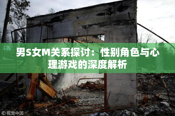 男S女M关系探讨：性别角色与心理游戏的深度解析