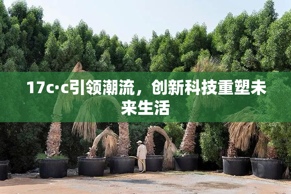 17c·c引领潮流，创新科技重塑未来生活