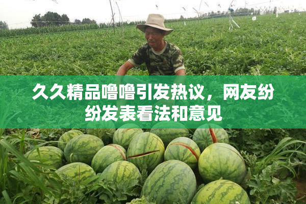 久久精品噜噜引发热议，网友纷纷发表看法和意见