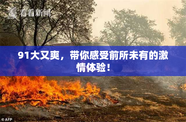 91大又爽，带你感受前所未有的激情体验！