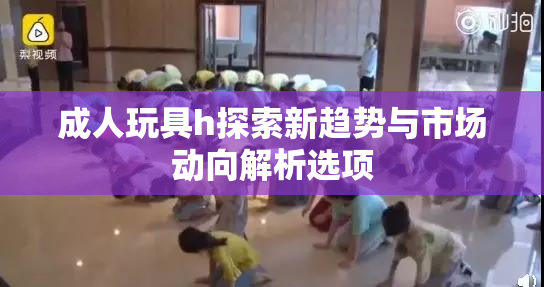成人玩具h探索新趋势与市场动向解析选项