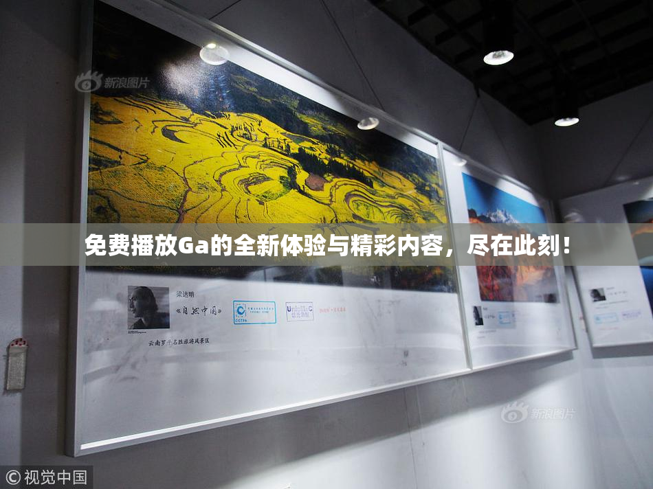 免费播放Ga的全新体验与精彩内容，尽在此刻！