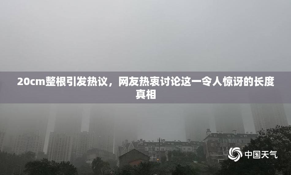 20cm整根引发热议，网友热衷讨论这一令人惊讶的长度真相