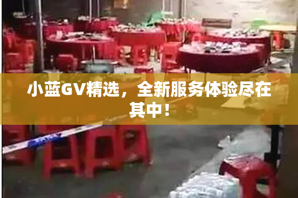 小蓝GV精选，全新服务体验尽在其中！