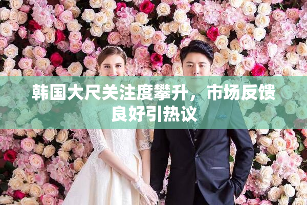 韩国大尺关注度攀升，市场反馈良好引热议