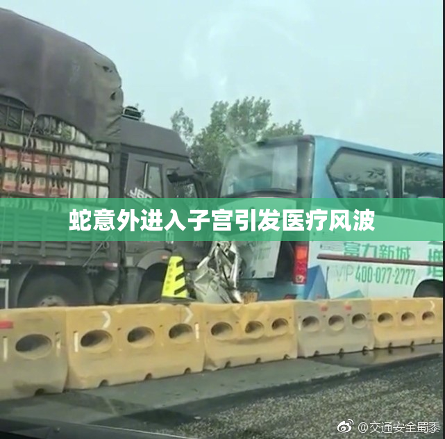 蛇意外进入子宫引发医疗风波