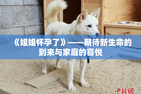 《姐姐怀孕了》——期待新生命的到来与家庭的喜悦