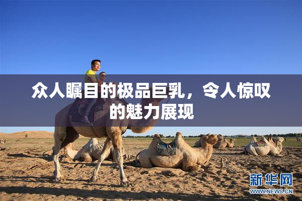 众人瞩目的极品巨乳，令人惊叹的魅力展现